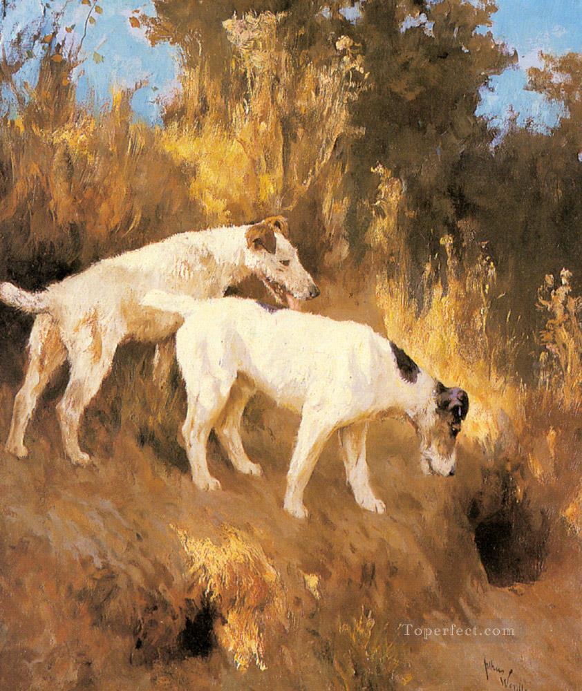 Terriers On The Scent animal Arthur Wardle perro Pintura al óleo